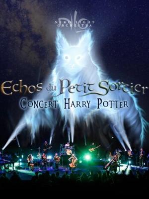 Echos du Petit Sorcier – Concert Harry Potter

Culture Concerts - Opéras - Soirées Spectacles - Cirques Spectacle Concert

Dimanche 10 novembre 2024 à 15h30.

Le Cepac Silo