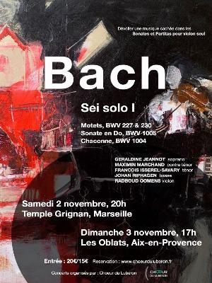 J.S. Bach Sei Solo, sonates, partitas et chorals cachés - Culture Concerts - Opéras - Soirées Art lyrique Musique classique Chants polyphoniques Concert - Temple Grignan - Spectacle-Marseille - Sortir-a-Marseille