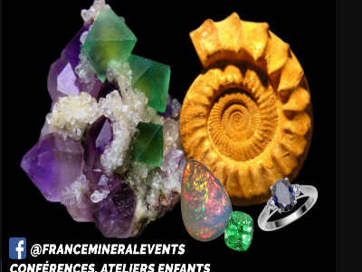 Salon des Fossiles et des Minéraux

Foires, salons, marchés Foires et salons Géologie Foire ou salon

Du samedi 14 au dimanche 15 décembre 2024 de 10h à 19h.
Samedi de 10h à 18h
Dimanche de 10h à 19h.

Palais des Congrès